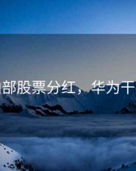 华为内部股票分红，华为干股分红