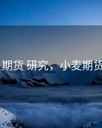 小麦 期货 研究，小麦期货交易