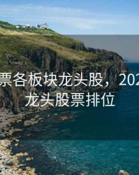 2020股票各板块龙头股，2020年a股龙头股票排位