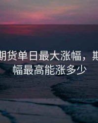 历史上期货单日最大涨幅，期货日涨幅最高能涨多少