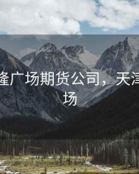 天津君隆广场期货公司，天津君龙广场