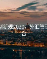外汇管制新规2020，外汇管理新政出台