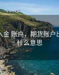 期货出入金 账户，期货账户出金入金什么意思