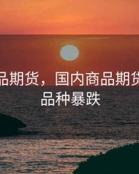 国内商品期货，国内商品期货超20个品种暴跌
