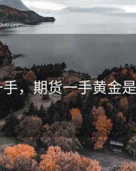 期货 一手，期货一手黄金是多少克