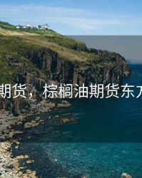 棕榈油 期货，棕榈油期货东方财富网