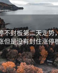 放量涨停不封板第二天走势，放量上涨但是没有封住涨停板
