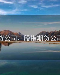 股指期货公司，股指期货公司排行榜