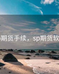 sp期货手续，sp期货软件