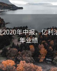 亿利洁能2020年中报，亿利洁能2020年业绩
