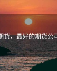 最好的期货，最好的期货公司是哪家