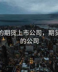 最优秀的期货上市公司，期货最厉害的公司