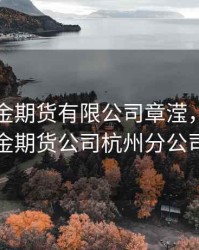 东方汇金期货有限公司章滢，东方汇金期货公司杭州分公司