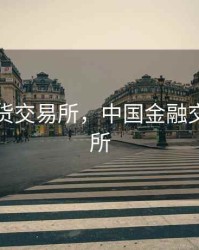 中国期货交易所，中国金融交易期货所