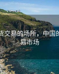 中国期货交易的场所，中国的期货交易市场
