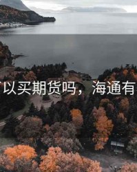 海通可以买期货吗，海通有期货吗