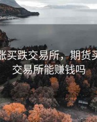 期货买涨买跌交易所，期货买涨买跌交易所能赚钱吗