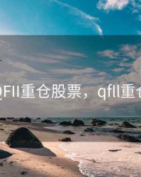 2020年QFII重仓股票，qfll重仓股2020