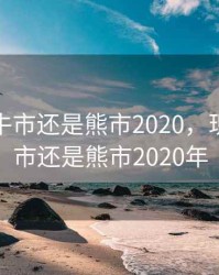 现在是牛市还是熊市2020，现在是牛市还是熊市2020年