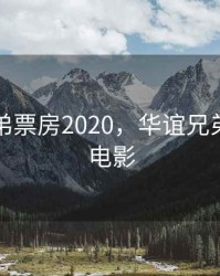 华谊兄弟票房2020，华谊兄弟发行的电影