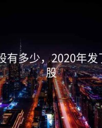 2020新股有多少，2020年发了多少新股