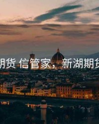 新湖期货 信管家，新湖期货下载