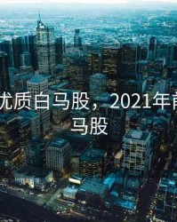 2020年优质白马股，2021年前十只白马股