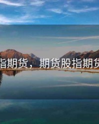 期货股指期货，期货股指期货手续费