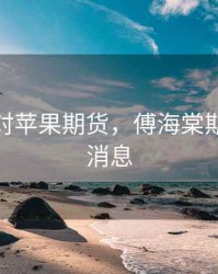 傅海棠对苹果期货，傅海棠期货最新消息