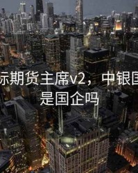 中银国际期货主席v2，中银国际期货是国企吗