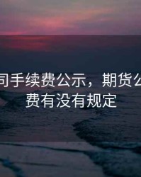 期货公司手续费公示，期货公司手续费有没有规定