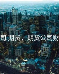 财务公司 期货，期货公司财务分析
