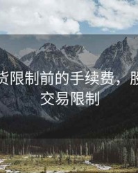 股指期货限制前的手续费，股指期货交易限制