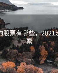 没有涨的股票有哪些，2021没涨的股票
