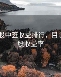 2020新股中签收益排行，目前中签新股收益率