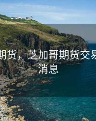 芝加哥期货，芝加哥期货交易所最新消息