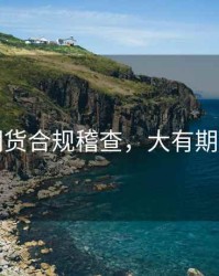 大有期货合规稽查，大有期货公司