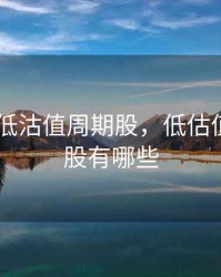 2020低低沽值周期股，低估值的周期股有哪些