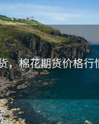 棉花 期货，棉花期货价格行情走势图