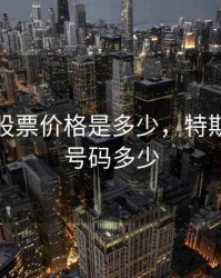 特斯拉股票价格是多少，特斯拉股票号码多少