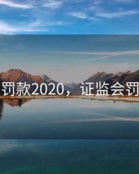 证监会罚款2020，证监会罚款案例