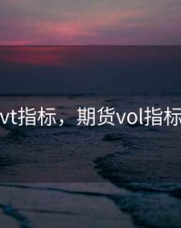 期货vt指标，期货vol指标详解