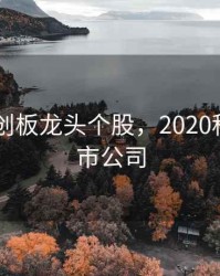 2020科创板龙头个股，2020科创板上市公司