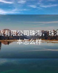 华金期货有限公司珠海，珠海华金资本怎么样