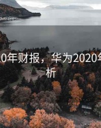 华为2020年财报，华为2020年财报分析