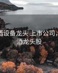 精酿啤酒设备龙头 上市公司，精酿啤酒龙头股