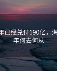 海航今年已经兑付190亿，海航2020年何去何从