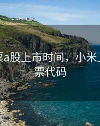 小米股票a股上市时间，小米上市的股票代码