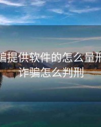 期货诈骗提供软件的怎么量刑，期货诈骗怎么判刑