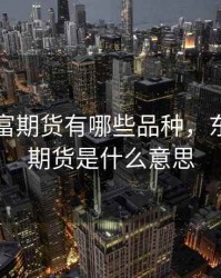 东方财富期货有哪些品种，东方财富期货是什么意思